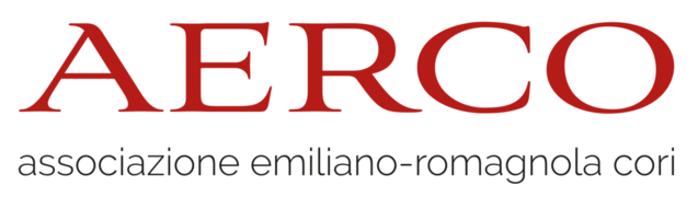 Logo aerco orizzontale copia